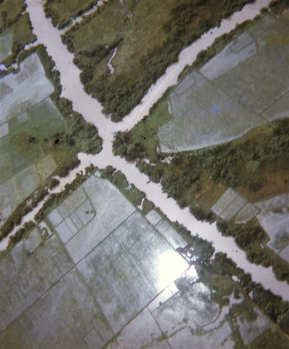 Rice paddy aerial view